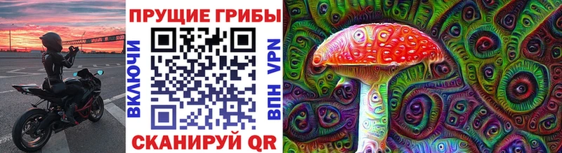 Купить  Тырныауз  Псилоцибиновые грибы Magic Shrooms 